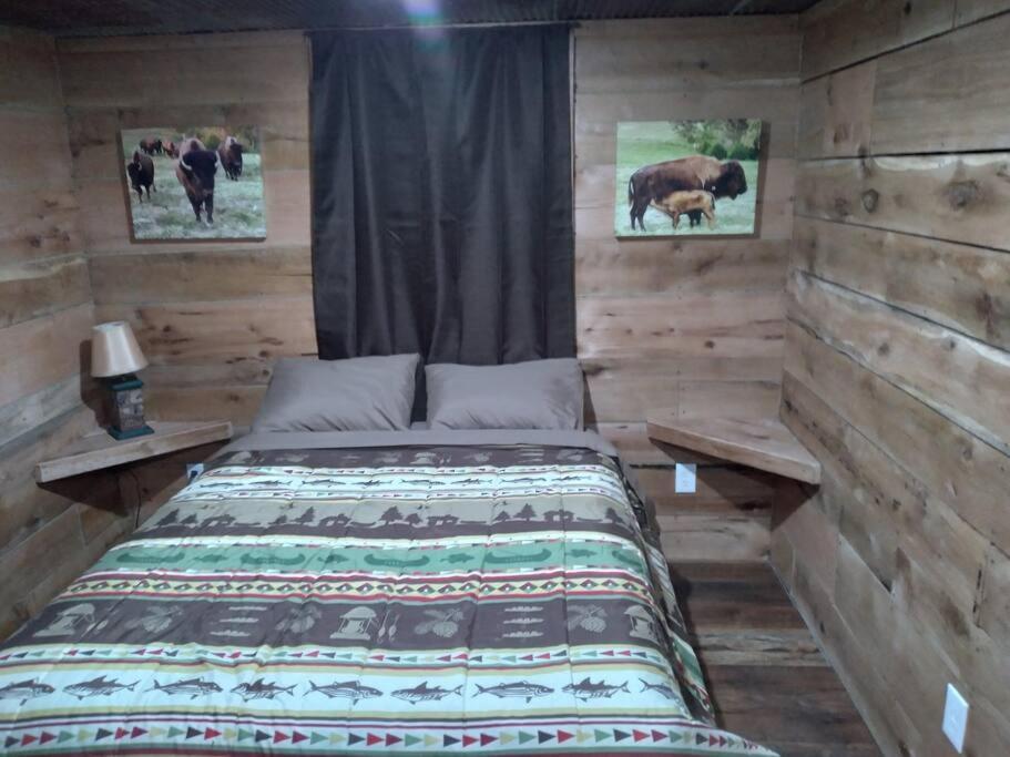 Cabin With A Tree House On A Buffalo Farm . Marshall 外观 照片