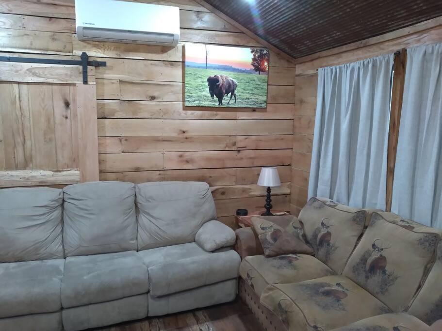 Cabin With A Tree House On A Buffalo Farm . Marshall 外观 照片