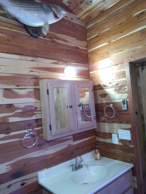 Cabin With A Tree House On A Buffalo Farm . Marshall 外观 照片
