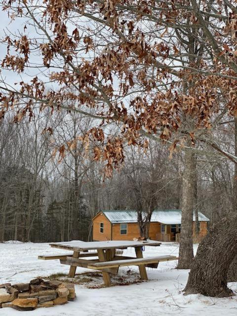 Cabin With A Tree House On A Buffalo Farm . Marshall 外观 照片